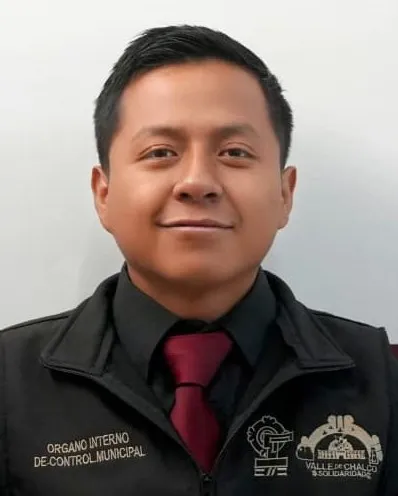 Verificador