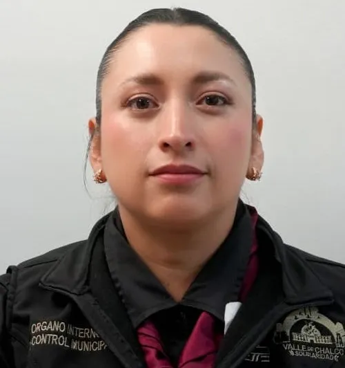 Verificador