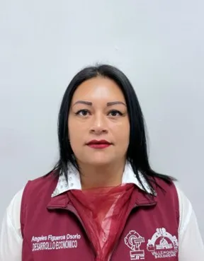 Verificador
