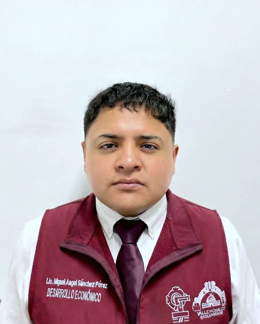 Verificador
