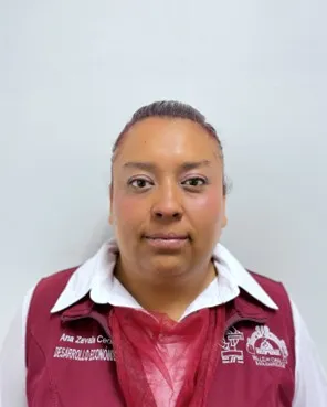 Verificador