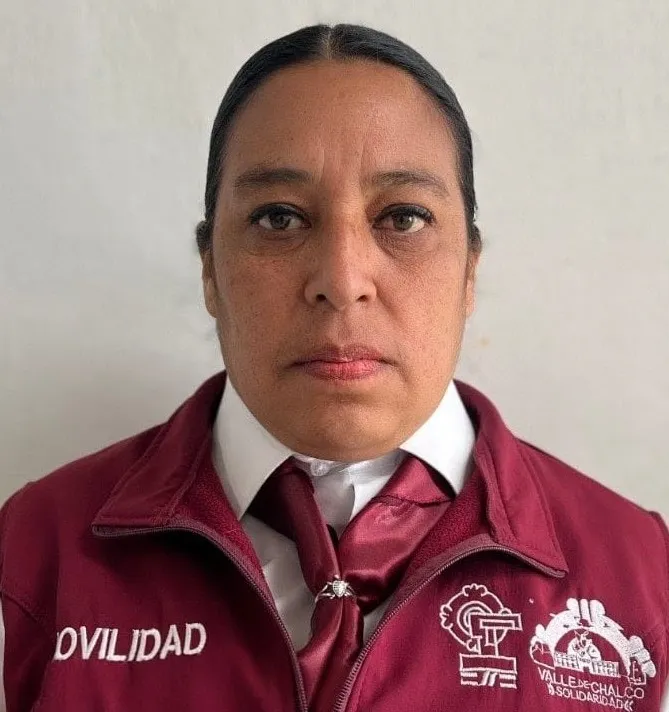Verificador