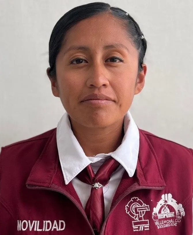 Verificador