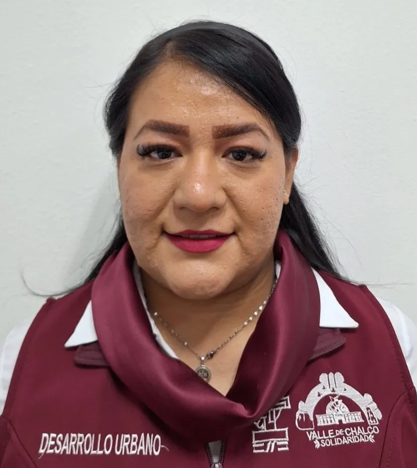 Verificador