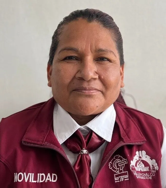 Verificador